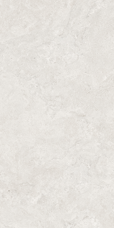 Gạch 100200LC102014