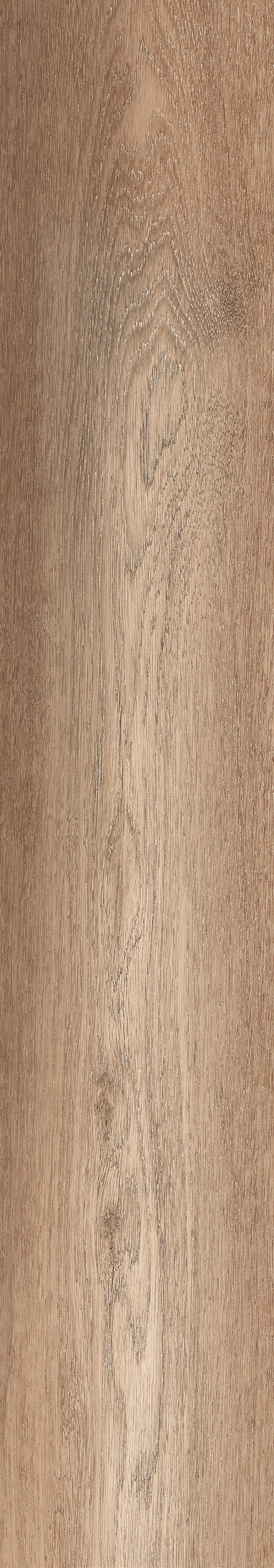 DWAKATOBI SIENA