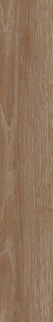 dGEORGIA WALNUT
