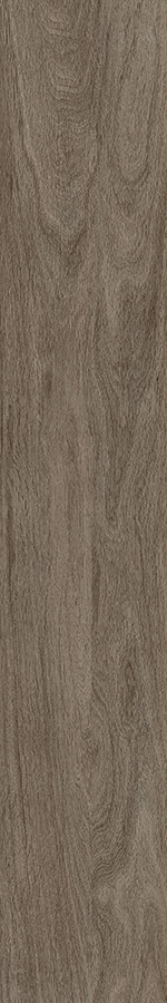 CIPRESSA BROWN