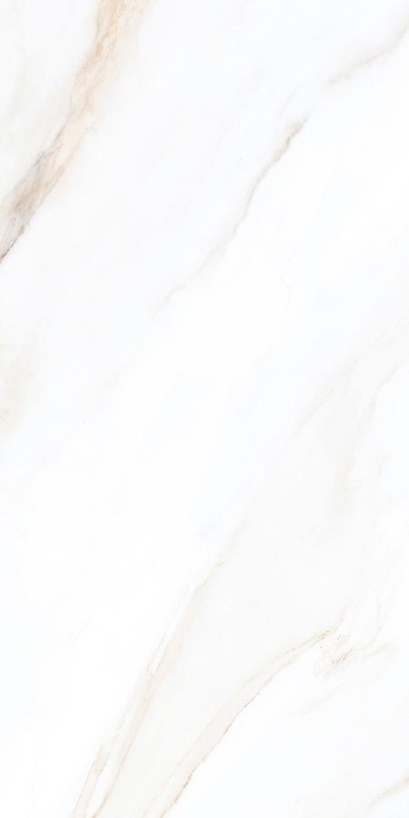 WHITE SPACE