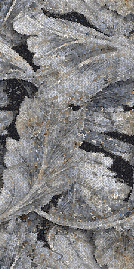 DEC ACANTO PATAGONIA