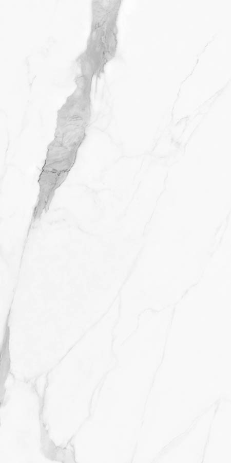 WHITE SPACE