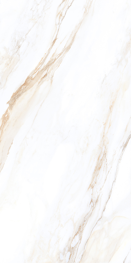 WHITE SPACE