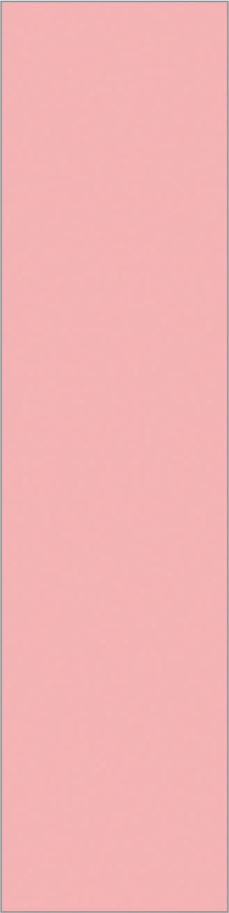 PLAIN PINK