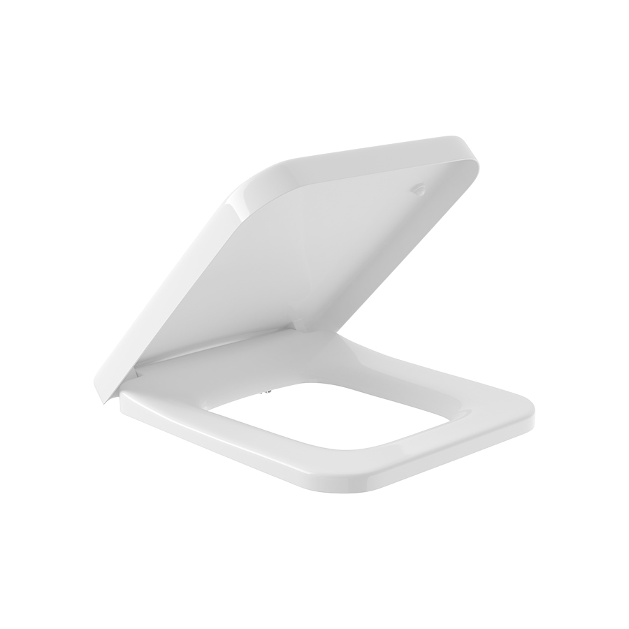 Bệ ngồi và nắp bồn cầu Villeroy & Boch Architectura 9M58S101