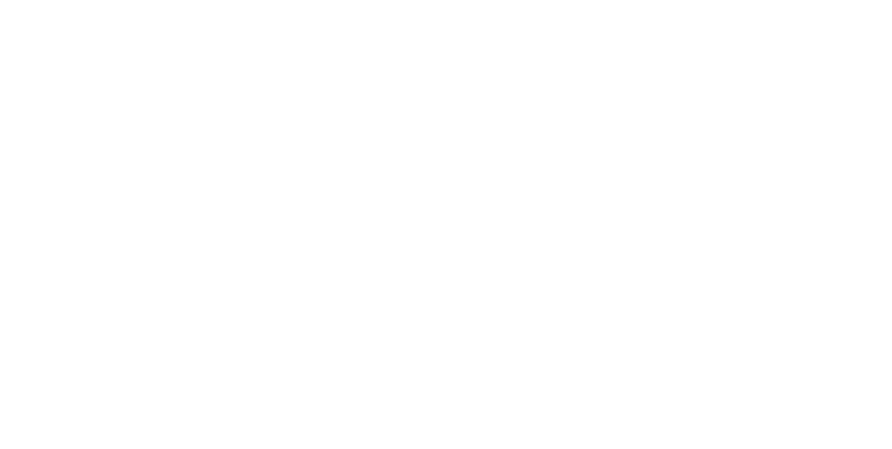 Villeroy & Boch